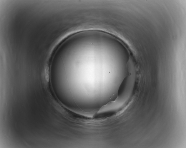 X0000088861510200706081143