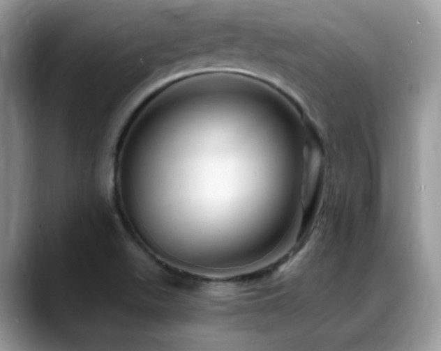 X0000088861511200706081143