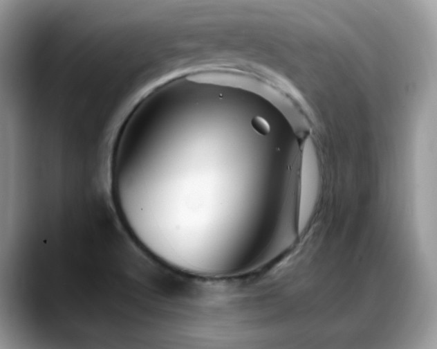 X0000088861512200706081143
