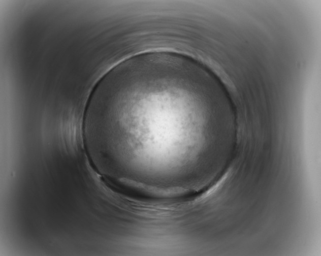 X0000088861513200706081143
