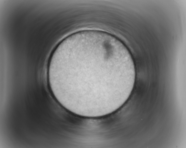 X0000088861514200706081143