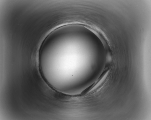 X0000088861516200706081143