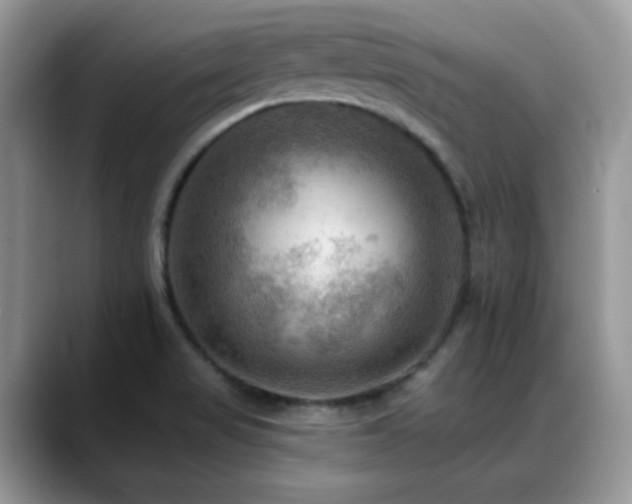 X0000088861517200706081143