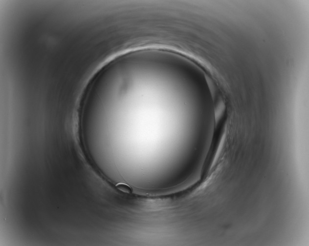 X0000088861518200706081143