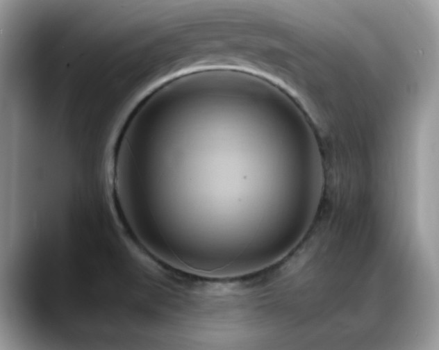 X0000088861519200706081143
