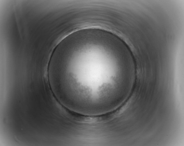 X0000088861521200706081143