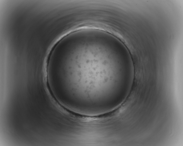 X0000088861522200706081143