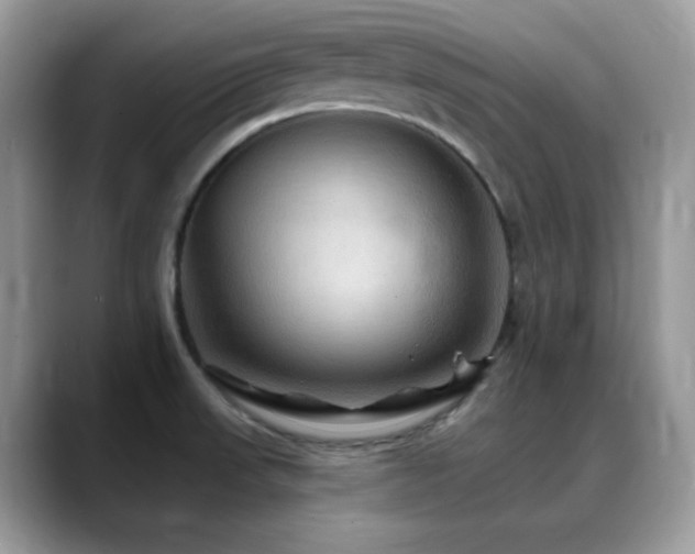 X0000088861523200706081143