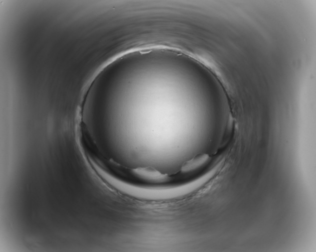 X0000088861524200706081143