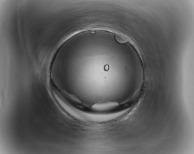X0000088861525200706081143