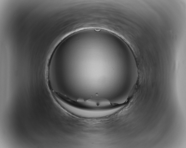 X0000088861527200706081143