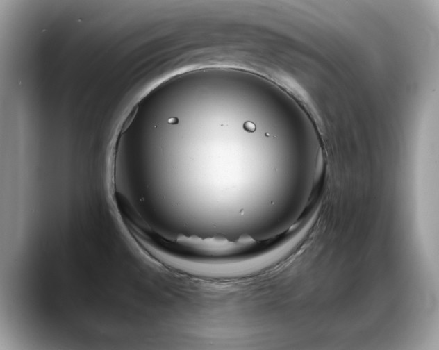 X0000088861528200706081143