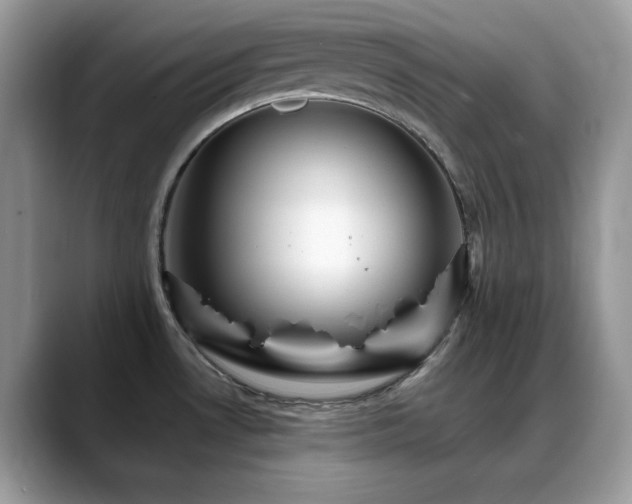 X0000088861530200706081143