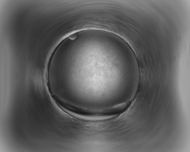 X0000088861531200706081143