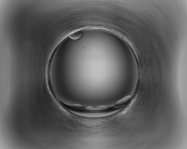 X0000088861533200706081143
