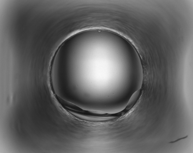 X0000088861534200706081143