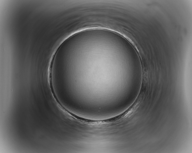X0000088861535200706081144