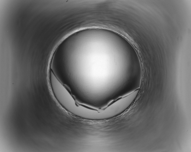 X0000088861536200706081144