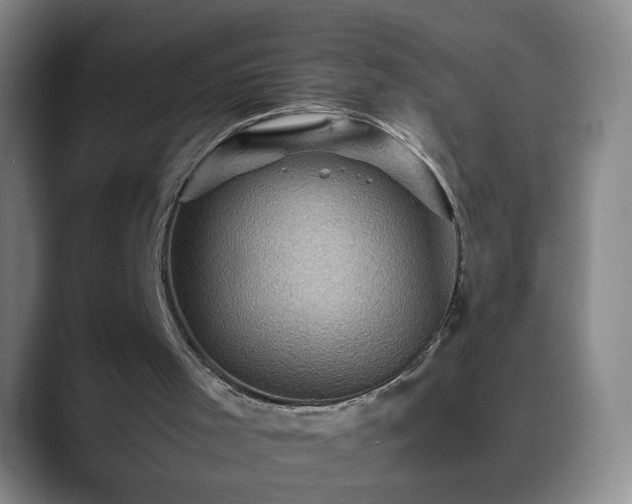X0000088860001200706151744
