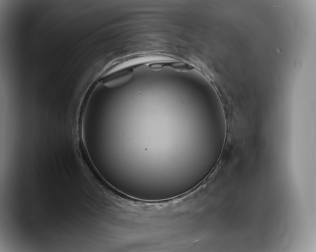 X0000088860002200706151744