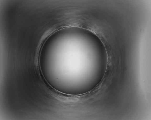 X0000088860004200706151744
