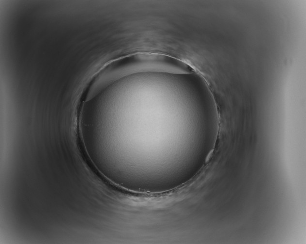 X0000088860005200706151744