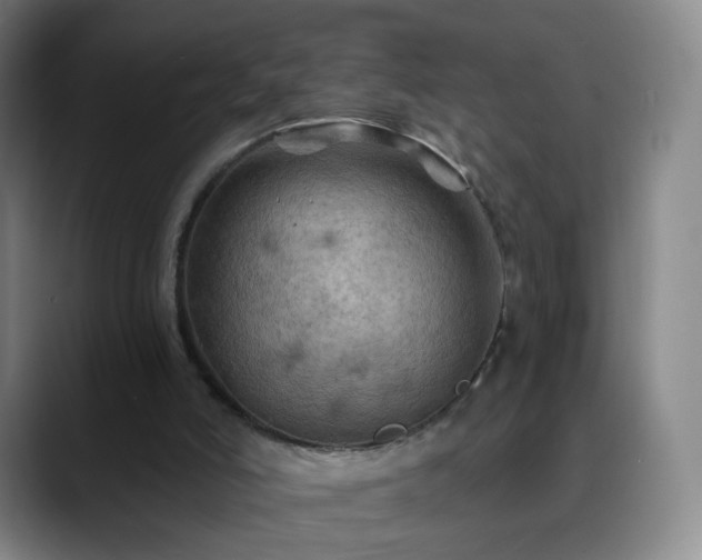 X0000088860006200706151744
