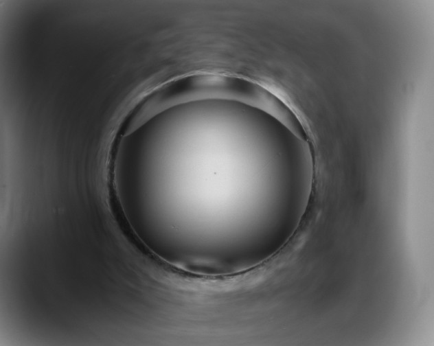 X0000088860007200706151744
