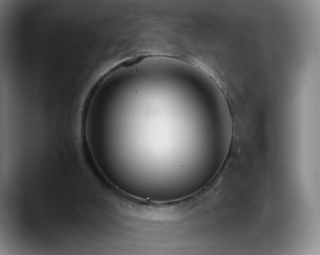 X0000088860008200706151744