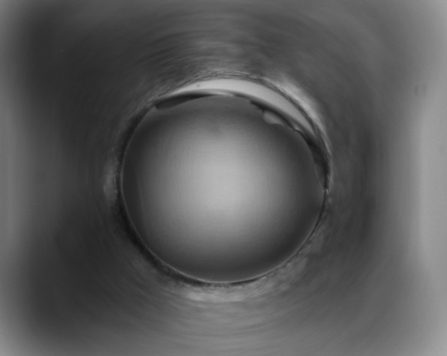 X0000088860009200706151744