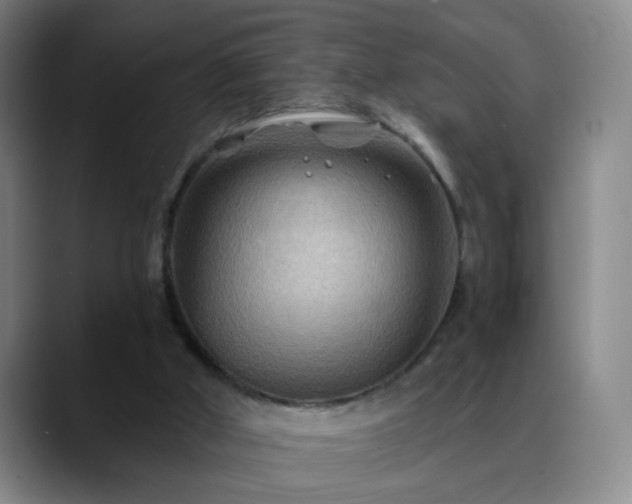 X0000088860010200706151744