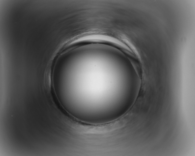 X0000088860011200706151744
