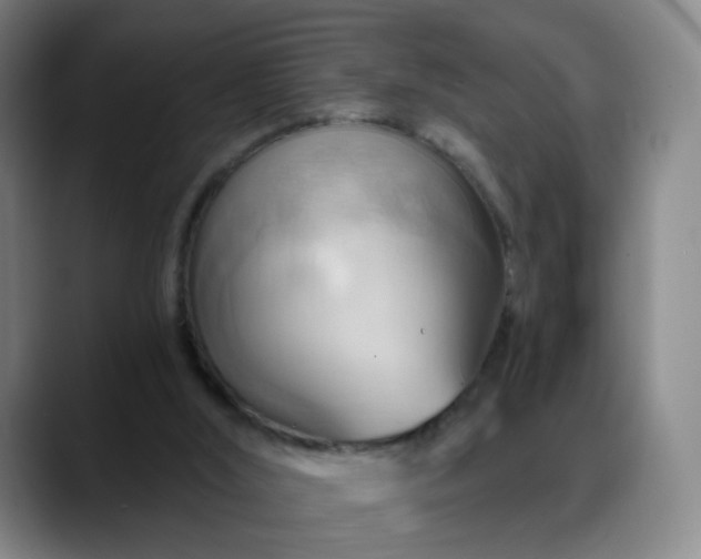 X0000088860012200706151744