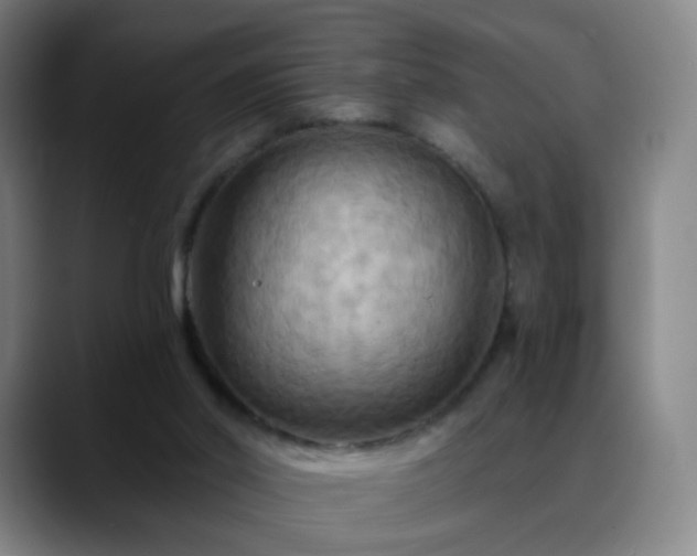 X0000088860014200706151744