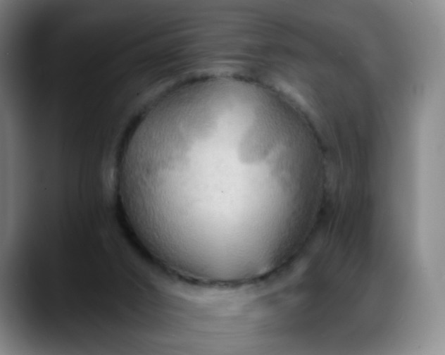 X0000088860016200706151744