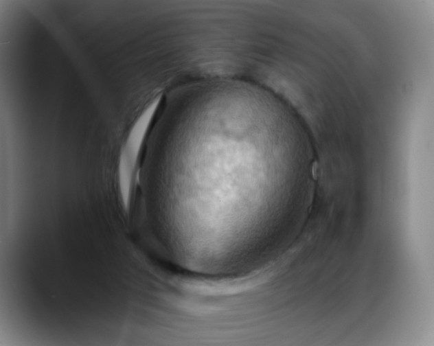 X0000088860017200706151744