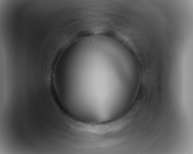 X0000088860018200706151744