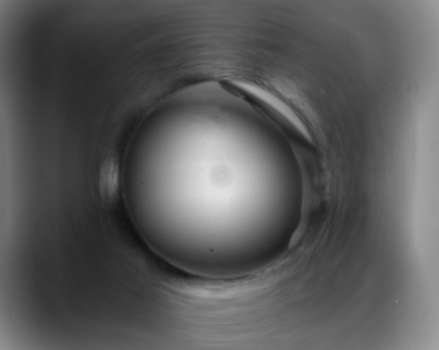 X0000088860021200706151744
