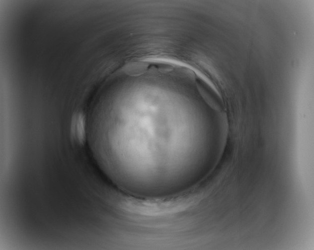X0000088860022200706151744