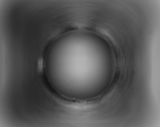 X0000088860024200706151744