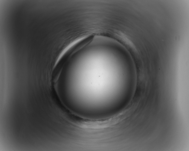 X0000088860025200706151744
