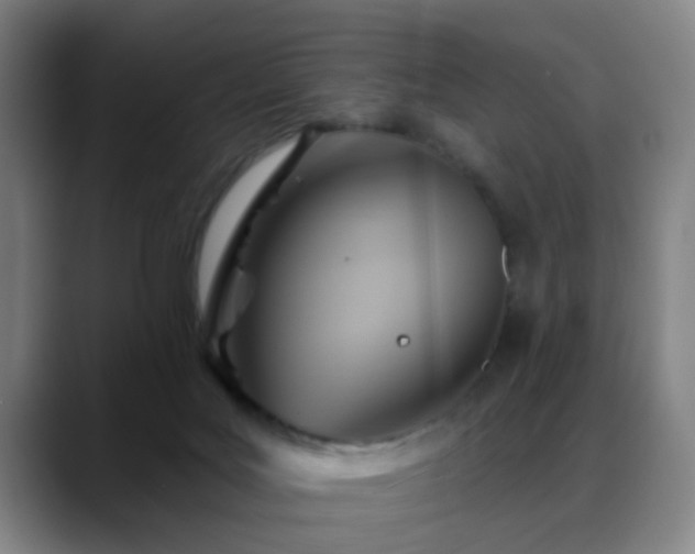 X0000088860027200706151743