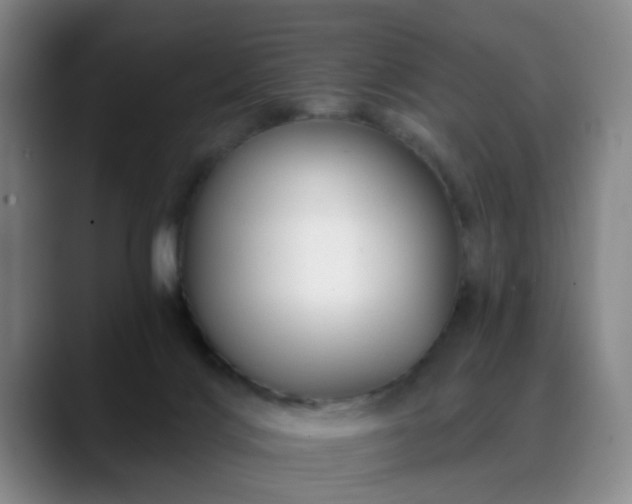 X0000088860028200706151743
