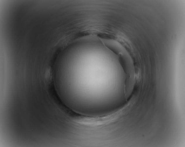 X0000088860029200706151743