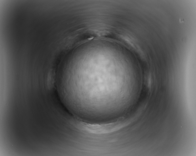 X0000088860030200706151743
