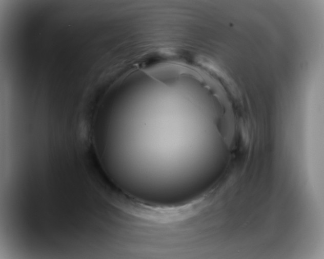 X0000088860031200706151743