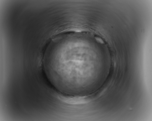X0000088860032200706151743
