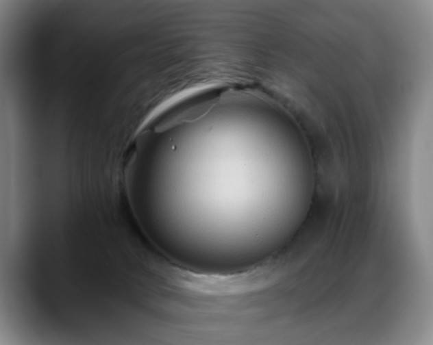 X0000088860034200706151743