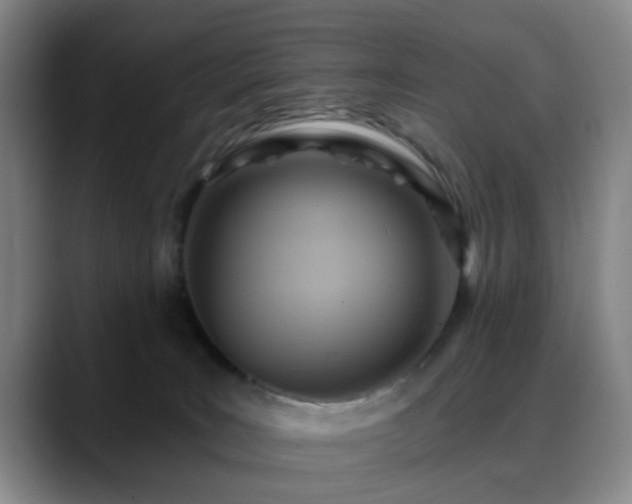 X0000088860035200706151743