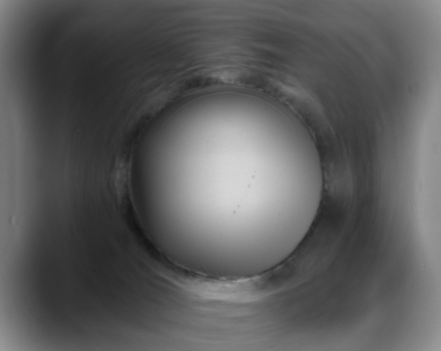 X0000088860036200706151743